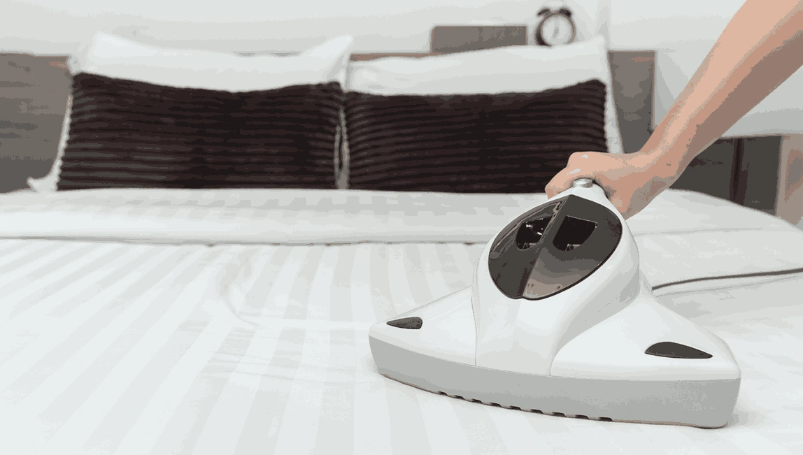 Professional Mattress Cleaning Sherbrooke